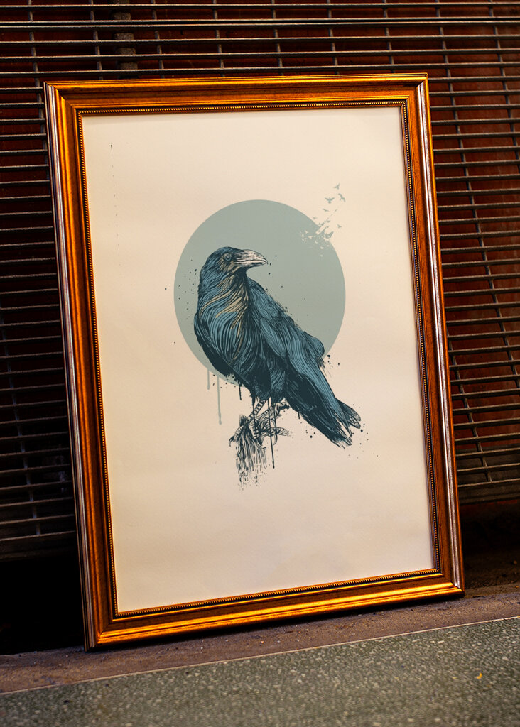 Le regard calme du corbeau