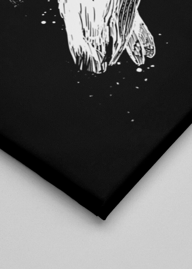 Verblassender Rabenflug