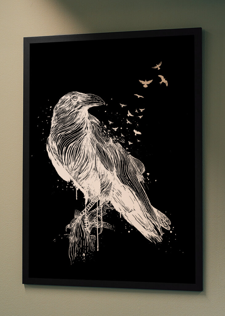 Verblassender Rabenflug