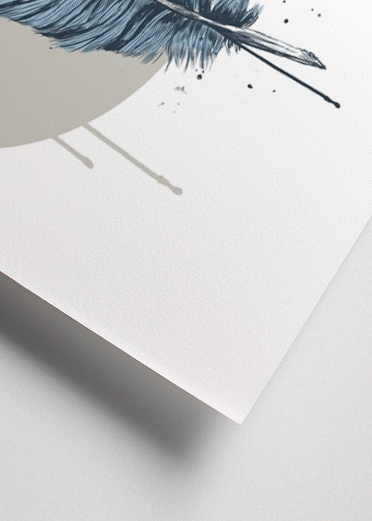 Gefiederte Gelassenheit