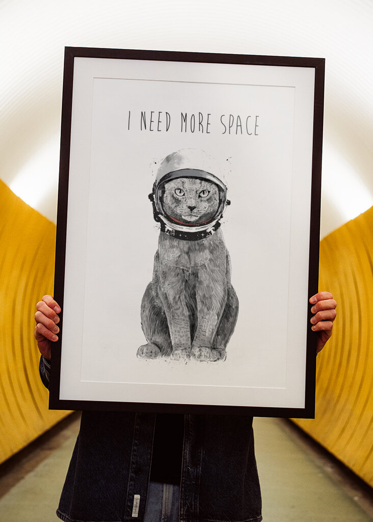 Sueños de gatos espaciales