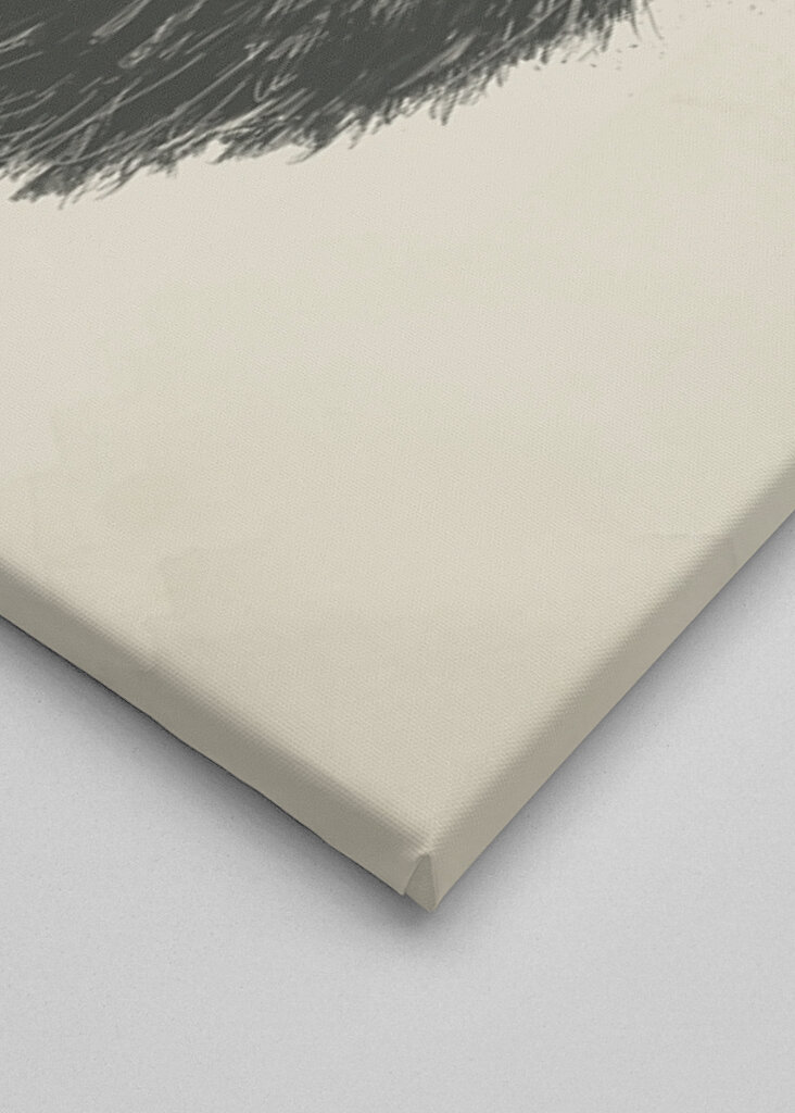 Olhar de caveira barbuda