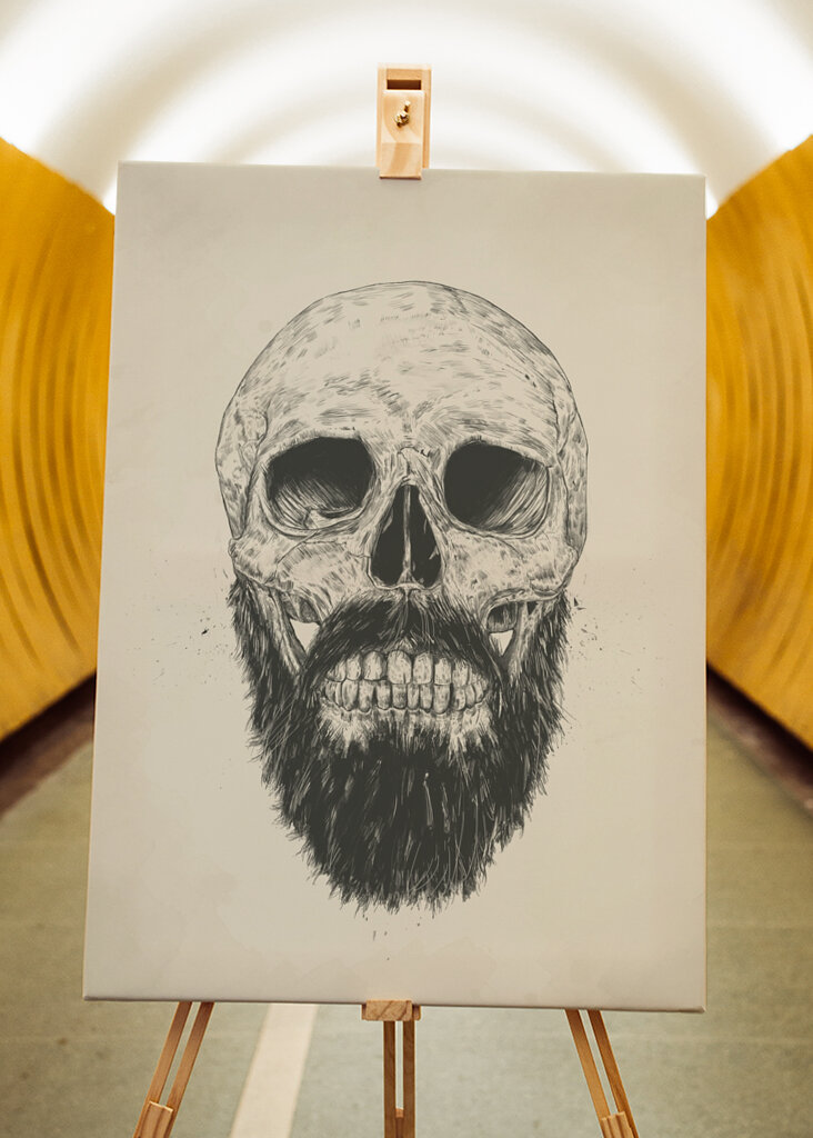 Olhar de caveira barbuda