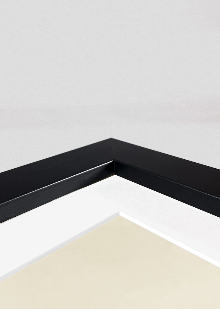 Olhar de caveira barbuda