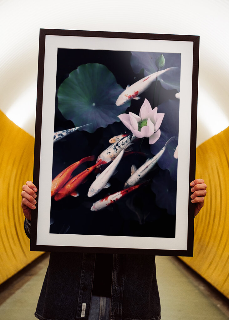 Seesteinen Koi-harmonia