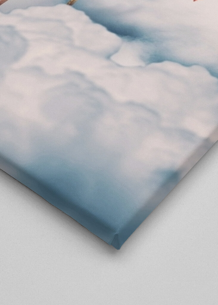 Fenicottero trasportato dalle nuvole