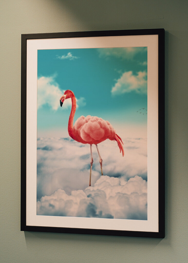 Fenicottero trasportato dalle nuvole