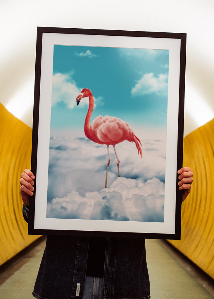 Fenicottero trasportato dalle nuvole