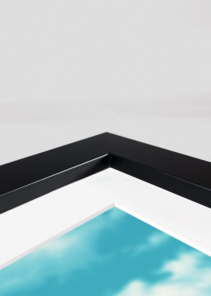 Fenicottero trasportato dalle nuvole