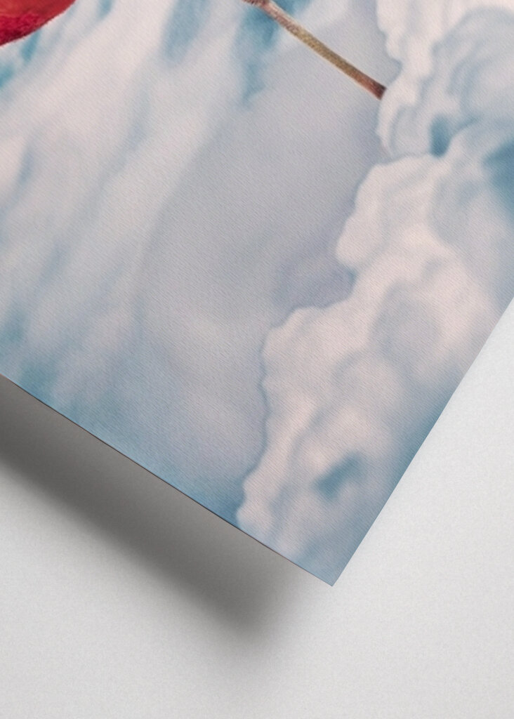 Fenicottero trasportato dalle nuvole