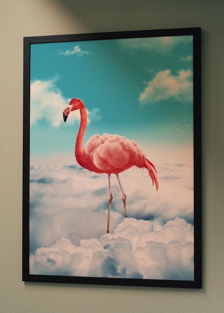 Fenicottero trasportato dalle nuvole