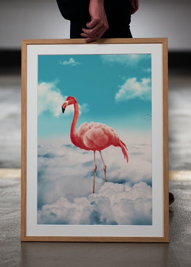 Fenicottero trasportato dalle nuvole