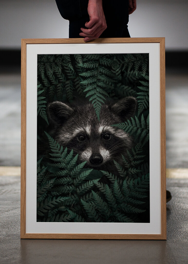 Sentinelle de la forêt