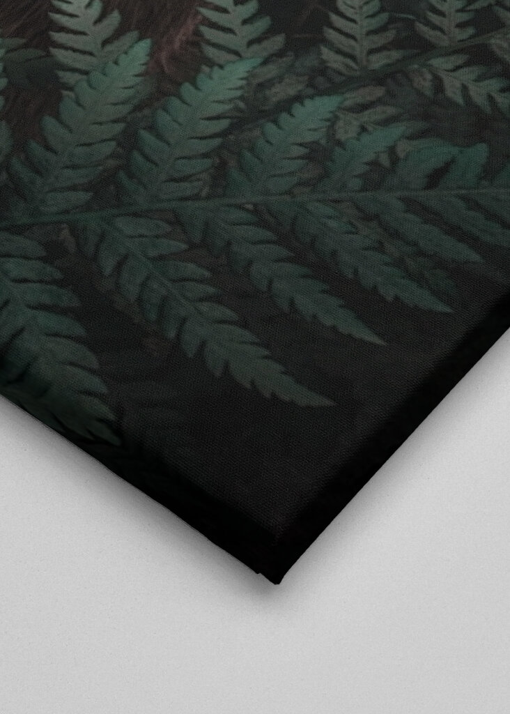 Páfrányerdő tekintete