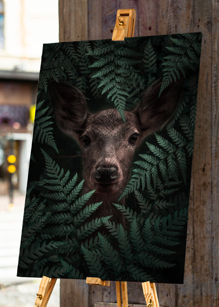 Páfrányerdő tekintete