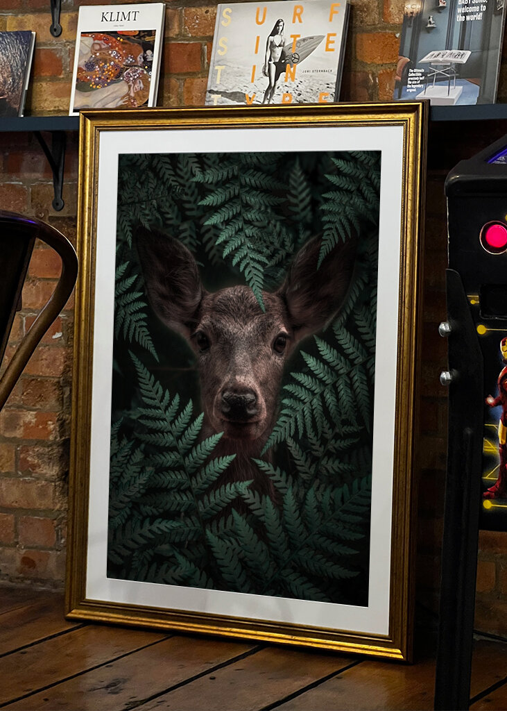 Páfrányerdő tekintete