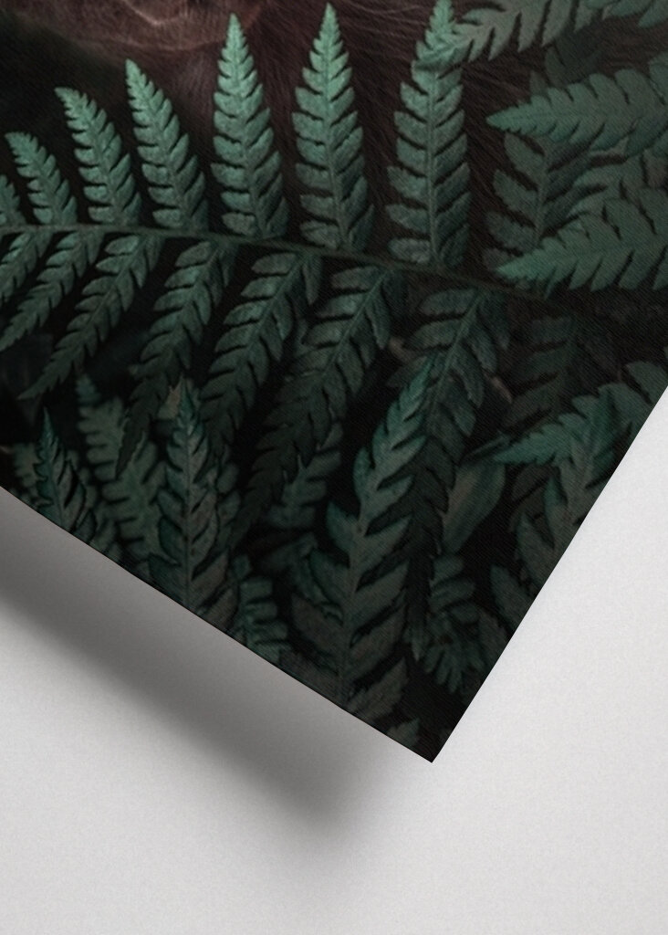 Páfrányerdő tekintete