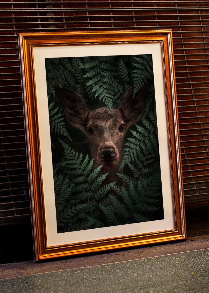 Páfrányerdő tekintete