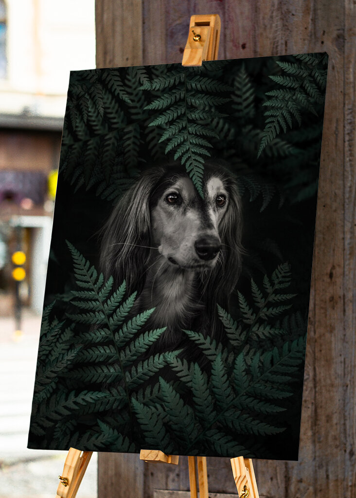 Farns wachsamer Blick