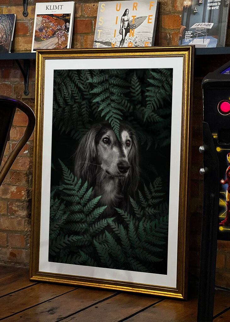 Farns wachsamer Blick