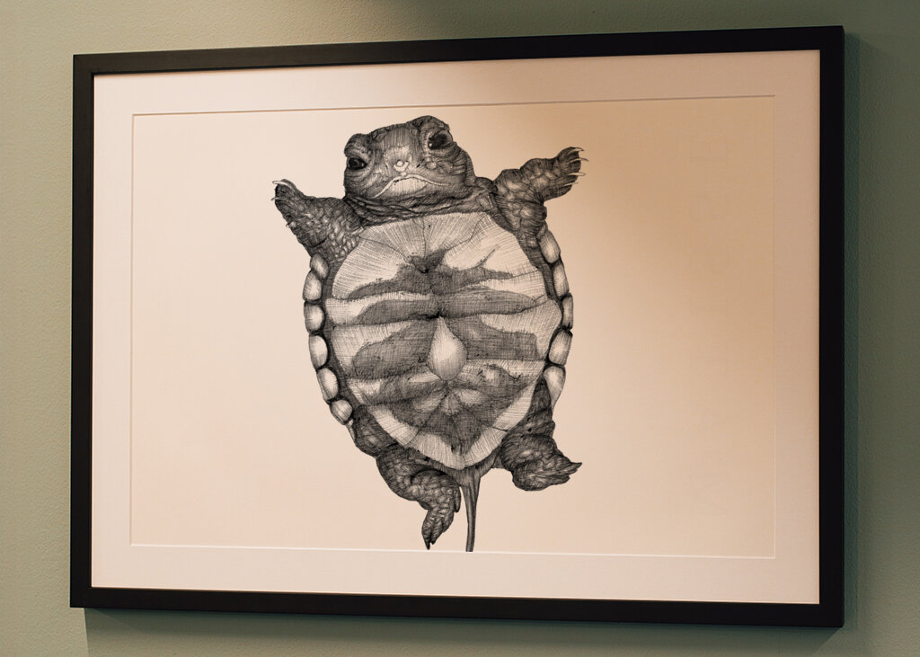 Upside Down Turtle