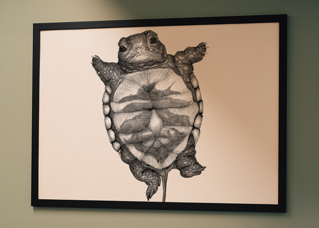 Upside Down Turtle