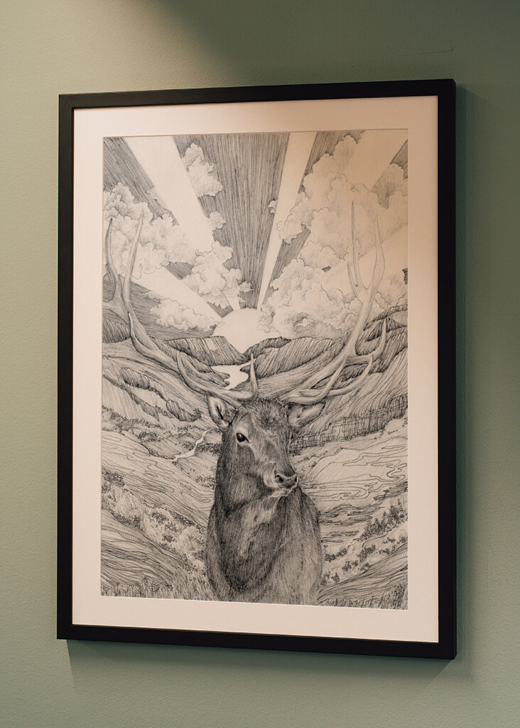 Majestætisk Daggry Hjort