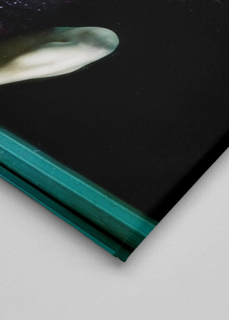 Unterwasser-Träumen