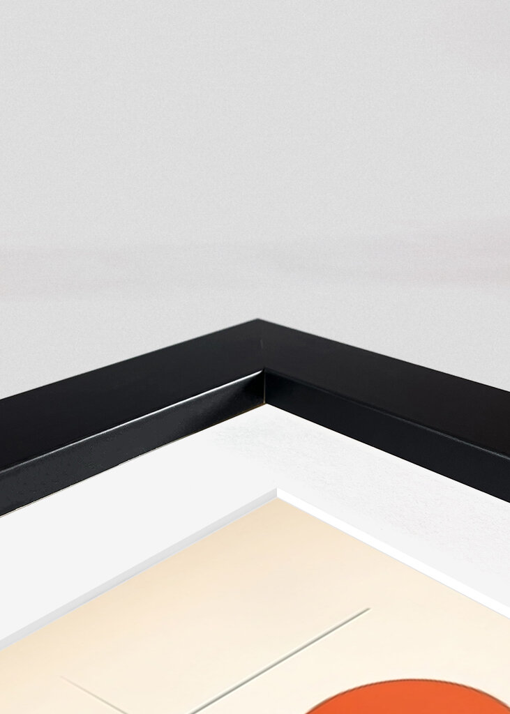 Geometrická harmonie