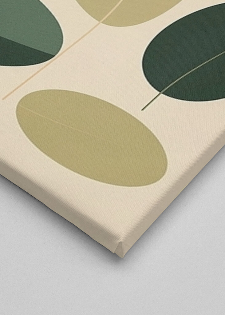 Harmonie plovoucích listů