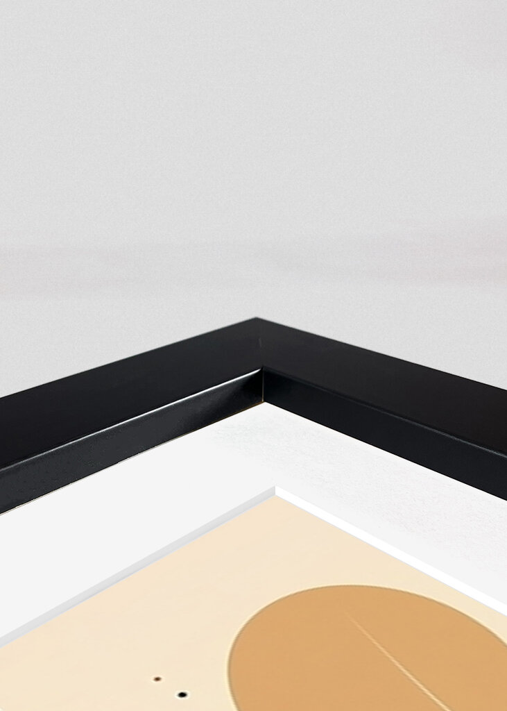 Harmonie plovoucích listů