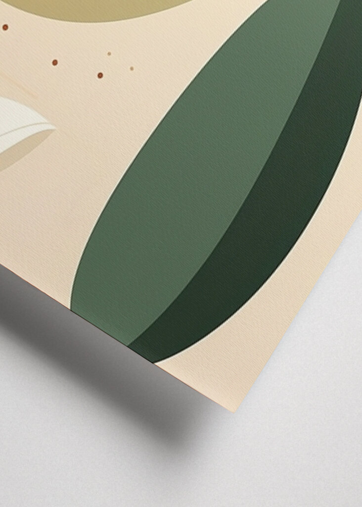 Harmonie plovoucích listů