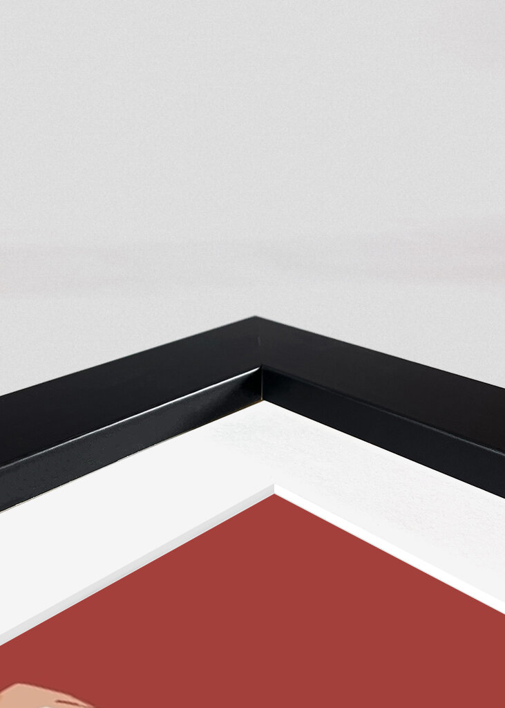 Elegante refleksioner