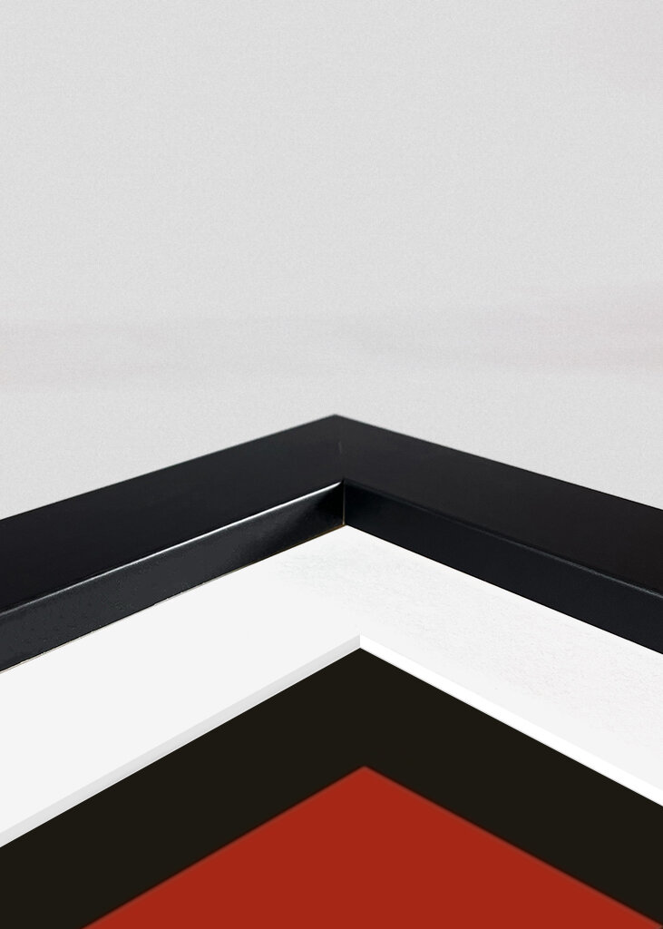 Geometrická harmonie