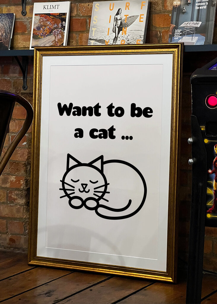 Dröm om ett kattliv