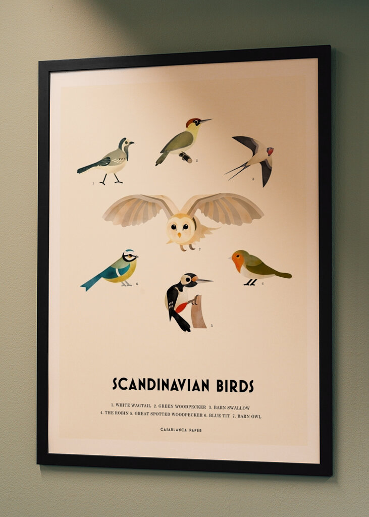 Nordic Bird Species