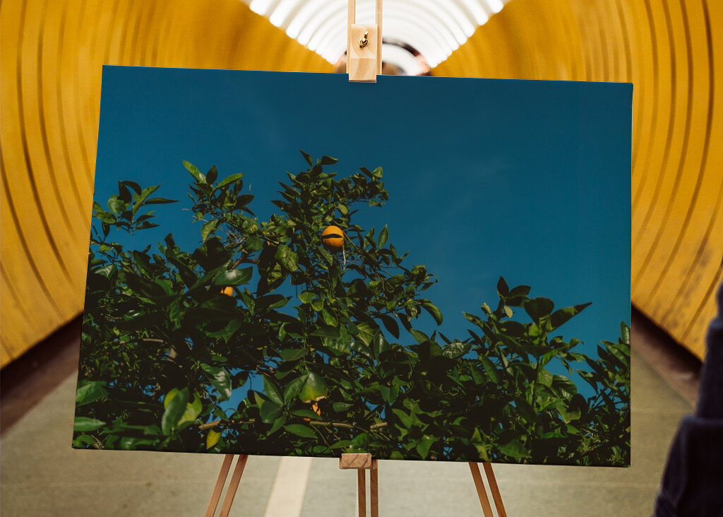 Cielo Cítrico Dorado