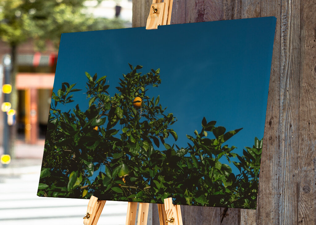 Cielo Cítrico Dorado
