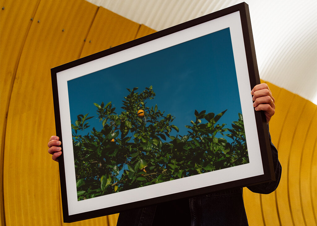 Cielo Cítrico Dorado