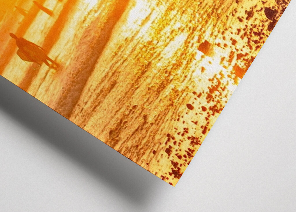 Surfen bei Sonnenuntergang