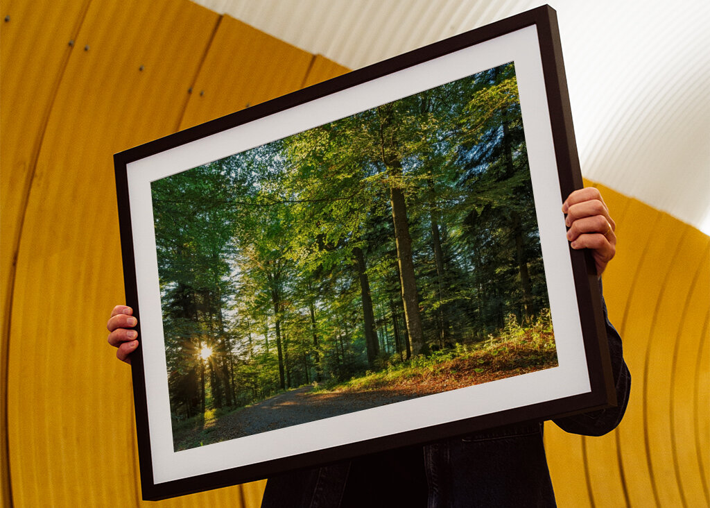 einsamer Weg im Wald