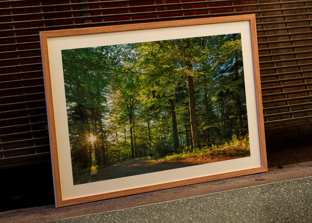 einsamer Weg im Wald