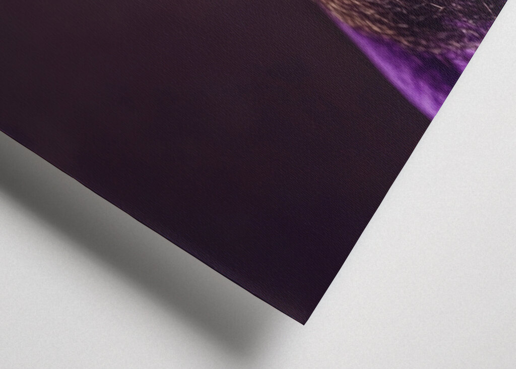 Ježíš Nazaretský 