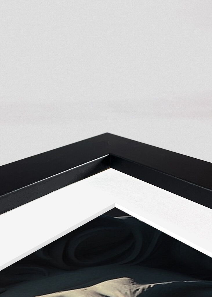 David Michelangelo Painting