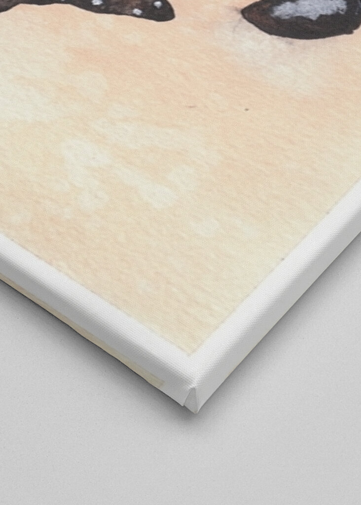 Butterfly Trio Dance