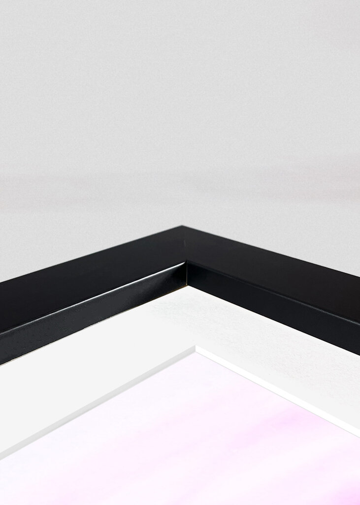 Serene Horizon Vista