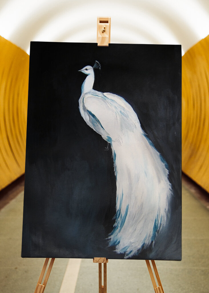 Elegantní Bílé Veličenstvo