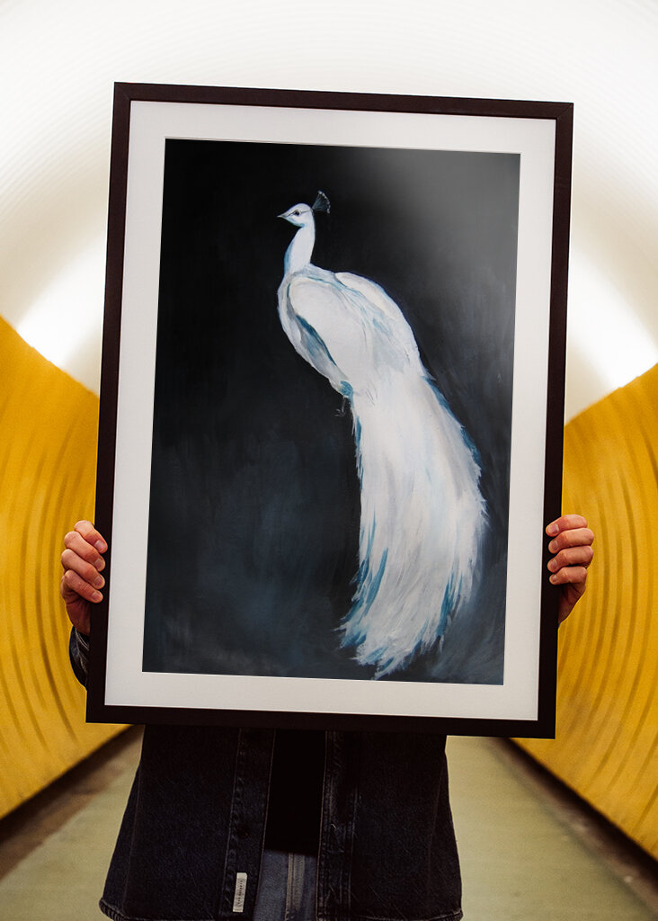 Elegantní Bílé Veličenstvo