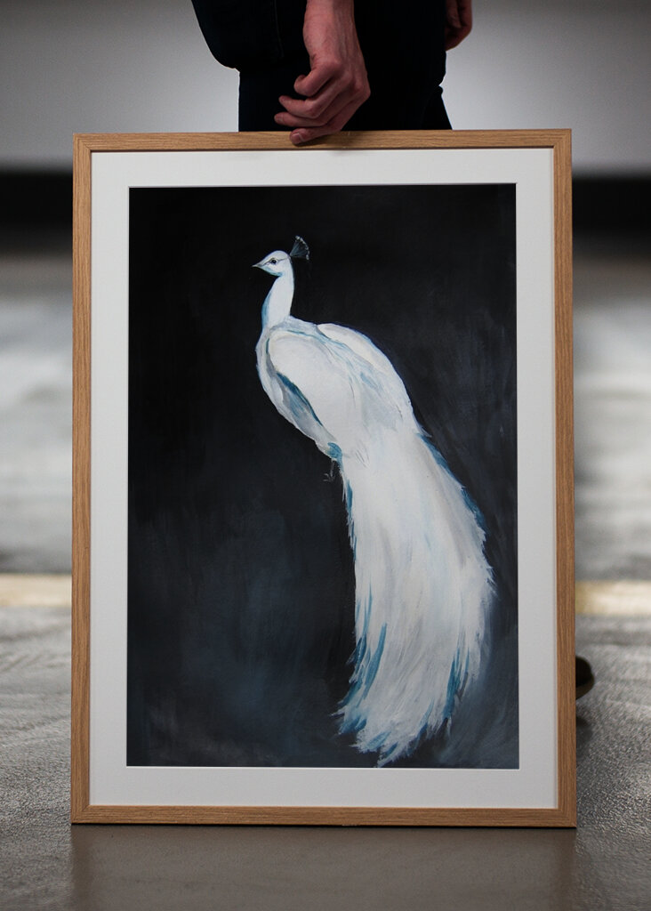 Elegantní Bílé Veličenstvo