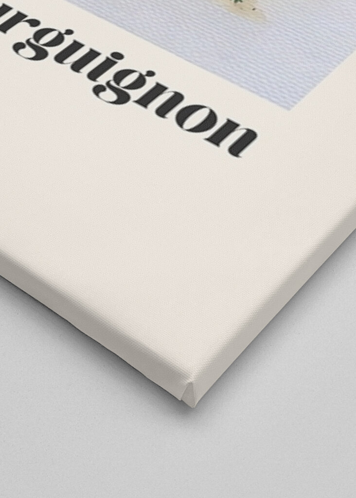 Rindfleisch-Bourguignon